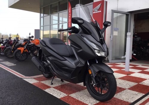 location scooter Périgueux Honda Forza 125 7723
