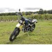 location moto Bordeaux Triumph Scrambler XE 11679