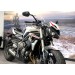 Mulhouse Triumph Street Triple S A2 motorcycle rental 12067